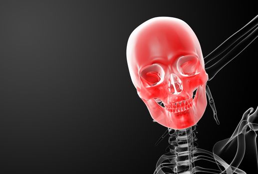 3d render skull X-rays - front view