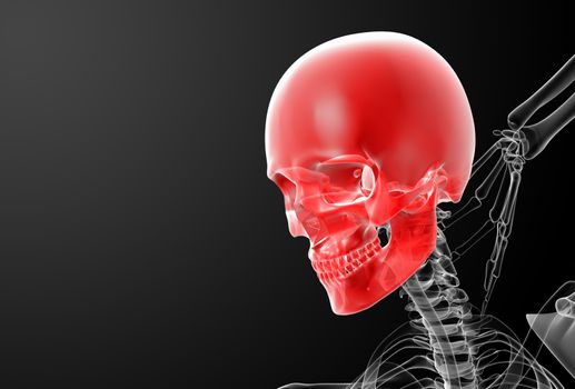 3d render skull X-rays - side view