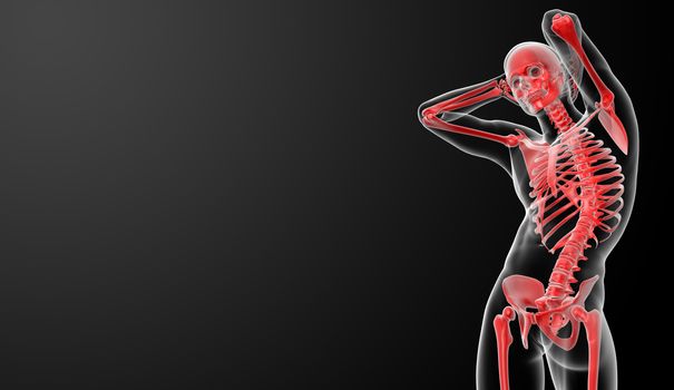 3d rendered red skeleton - bottom view