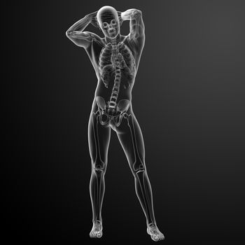 Human in x-ray view