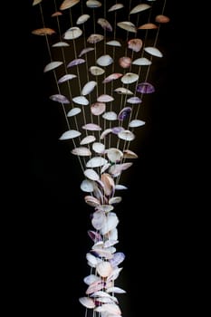 Seashells on thread background on tropical resort