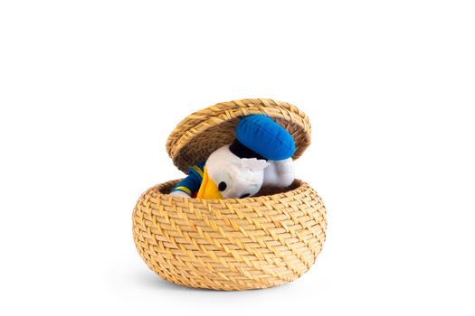 Duck that is coming out of a straw basket , creating an effect of surprise