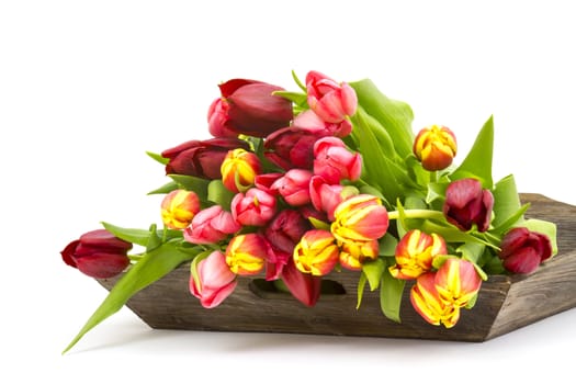 colourful tulips on a wooden tray