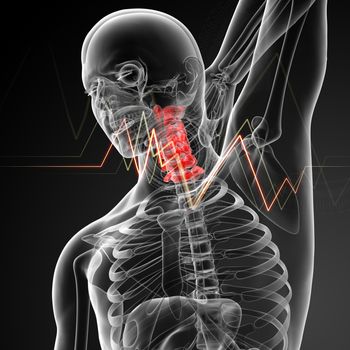 3d rendered illustration - pain neck