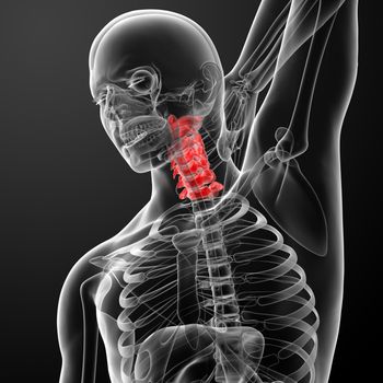 3d rendered illustration - pain neck