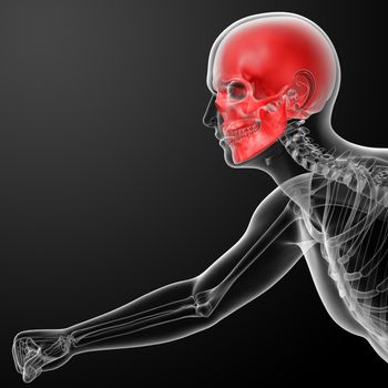 Human skull X ray in red - side view