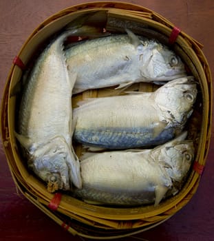 Fresh raw mackerel fish in market.