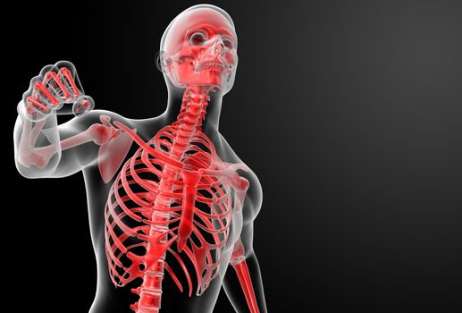 Running skeleton by X-rays in red - front view