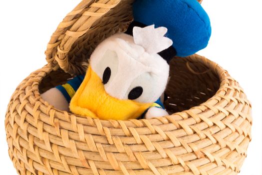 a nice duck smile in the basket