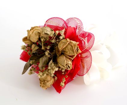 isolated dried rose on white background