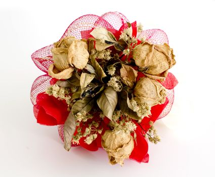 isolated dried rose on white background