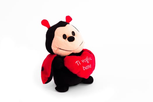 ladybug and his message of love in a heart