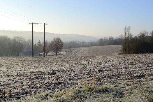 iced meadow in the french countryside