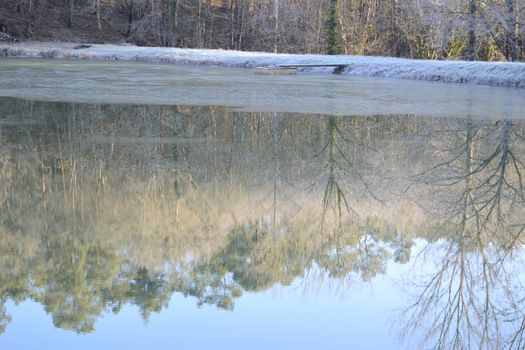 pond in a winter morning, France