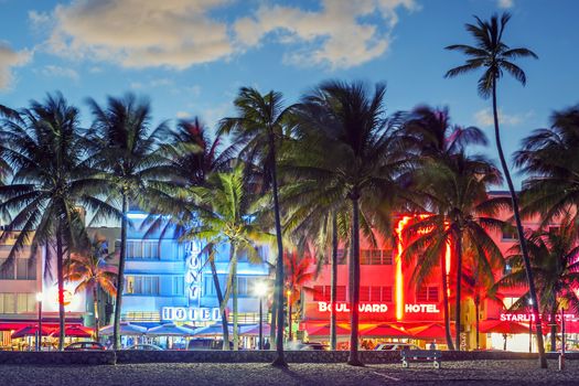 MIAMI, FLORIDA - JANUARY 24, 2014: Palm trees line Ocean Drive. The road is the main thoroughfare through South Beach. 