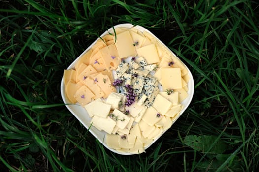 Cheese plate in green grass background horizontal