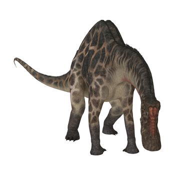 3D digital render of  a curious dinosaur Dicraeosaurus looking down isolated on white background