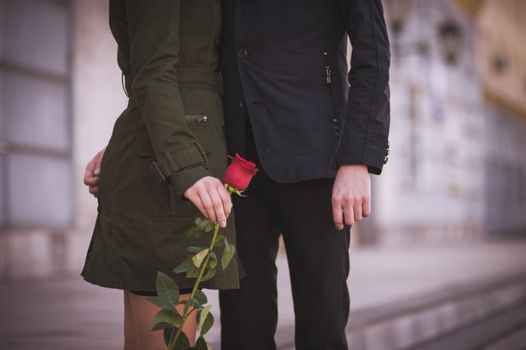 couple in love  holding hands togetherwith red rose  no face 