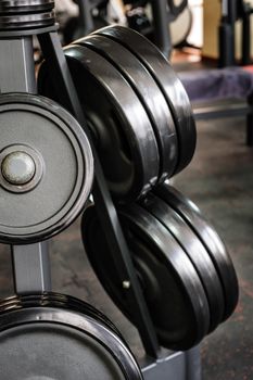 Gym interior with barbell plates holder rack