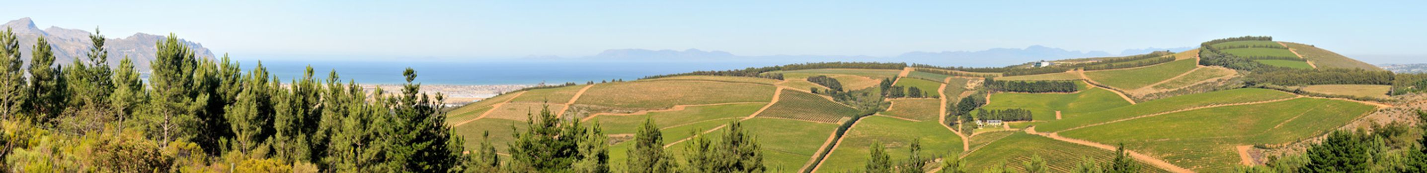 Panoramic view of vineyards near Sir Lowreys Pass in the Western Cape Province of South Africa. The Strand and Gordons Bay is in the background
