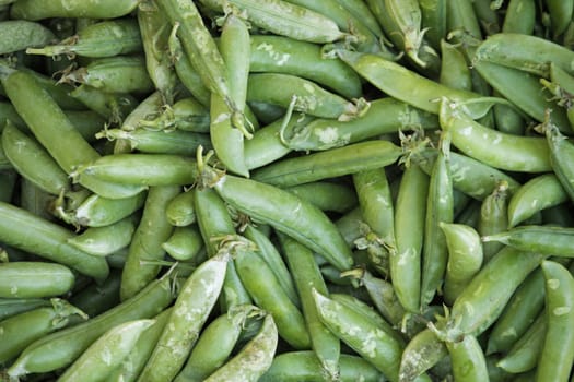 sugar snap peas for sell at market