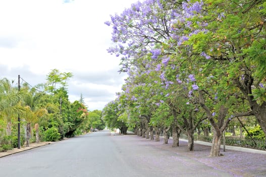 Street view of Rawsonville in the Western Cape Province of South Africa
