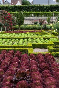 Kitchen garden in  Chateau de Villandry. Loire Valley, France 