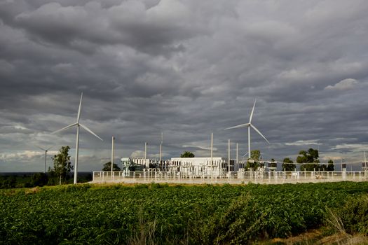 Wind turbines, pure energy,windmills in the fields in Thailand