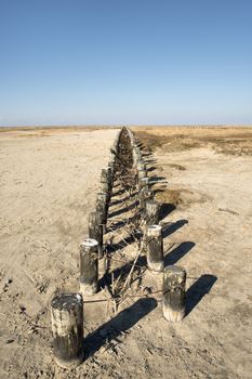 Image of wooden poles for protection at a beach in Northern Germany