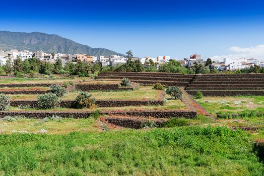 The Pyramids of Güímar (Guanches step pyramids de Guimar), Tenerife, Canary Islands, Spain