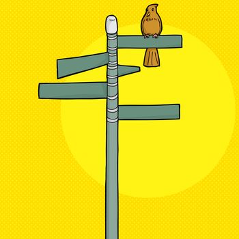 Brown bird perched on blank street signs