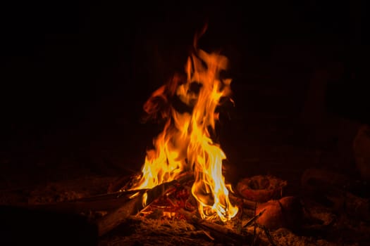 campfire in darkness on a mountain in Chiang Rai Thailand