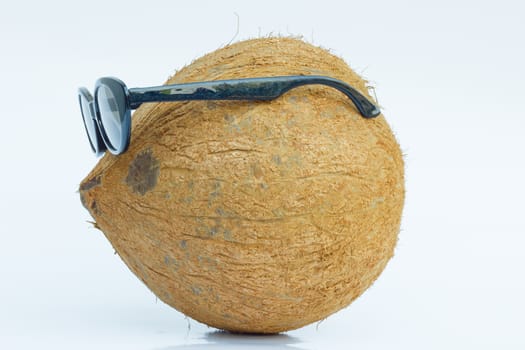 brown coconut wear sun glasses in white background