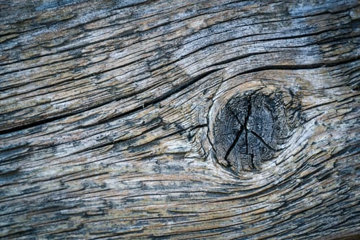 abstract background or texture old knag wooden board