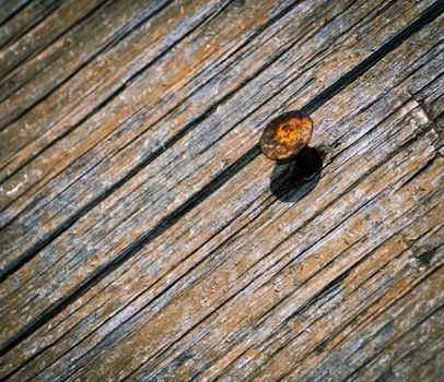 abstract background rusty nail in an old wooden board