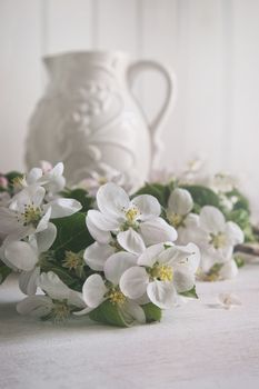Still life of apple blossom flowers with jug in background