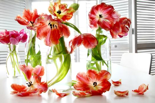 Colorful spring tulips in old milk bottles on table