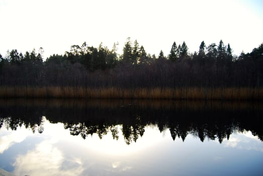 Reflection on water