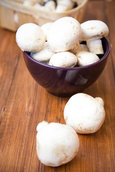 many raw fresh mushrooms in a bowl on a wooden background