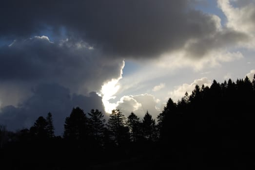 Dark clouds over trees