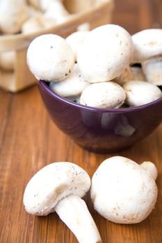 many raw fresh mushrooms in a bowl on a wooden background