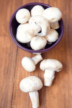 many raw fresh mushrooms in a bowl on a wooden background