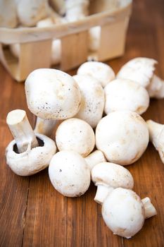 many raw fresh mushrooms on a wooden background