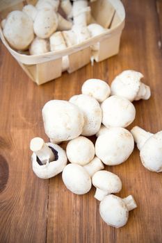 many raw fresh mushrooms on a wooden background