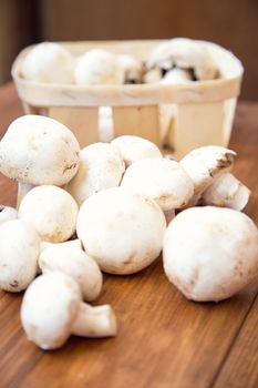 many raw fresh mushrooms on a wooden background