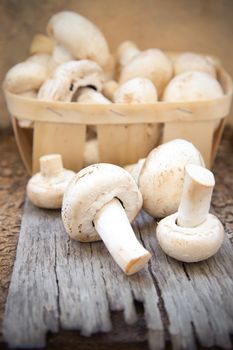 many raw fresh mushrooms on a wooden background