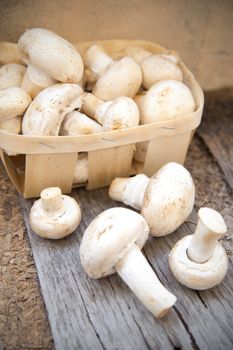many raw fresh mushrooms on a wooden background