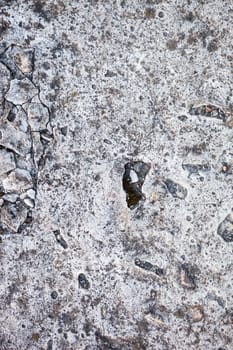 Concrete surface with rich and various texture.