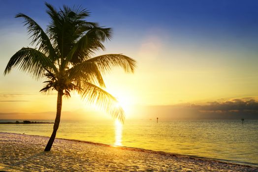 Beautiful sunrise at Key West, Florida, USA