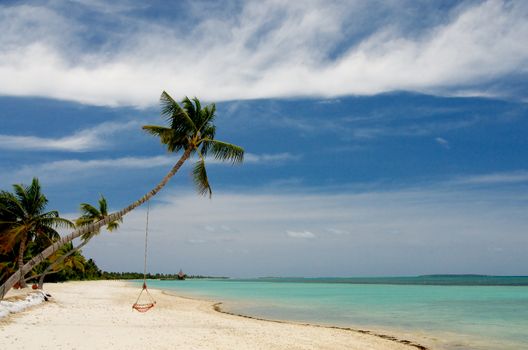 Palm Trees with Hammock in Indian Ocean Sand Beach on Blue Sky Background with White Clouds Outdoors